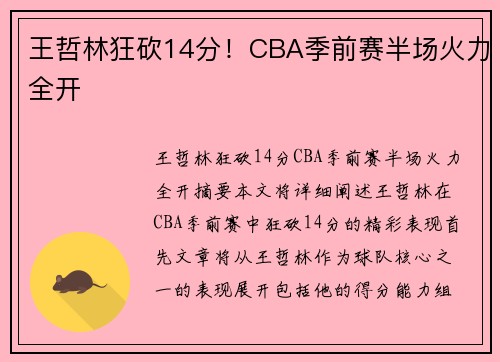 王哲林狂砍14分！CBA季前赛半场火力全开